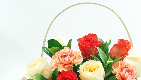 conheça as variedades de flores da Florencanto