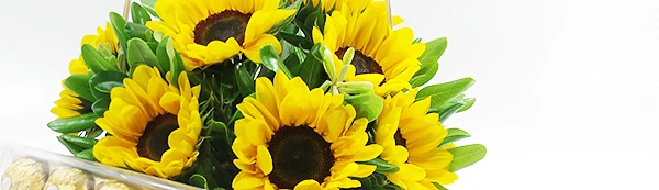 O Encanto das Flores a um clique de você