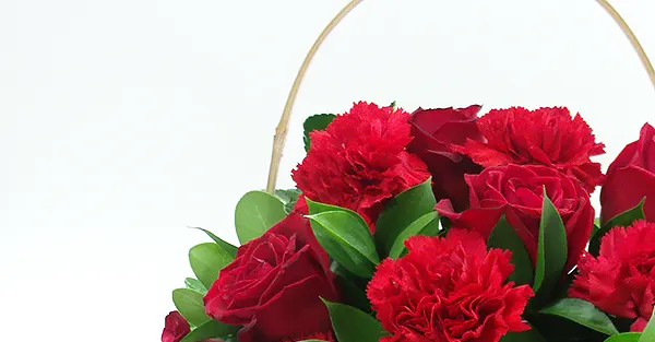 conheça as variedades de flores da Florencanto