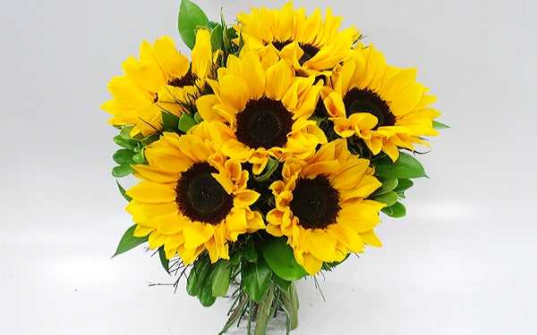 O Encanto das Flores a um clique de você