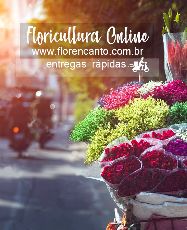 conheça as variedades de flores da Florencanto