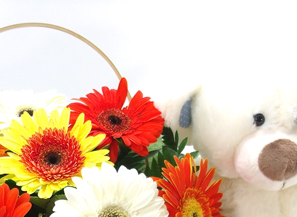 O Encanto das Flores a um clique de você