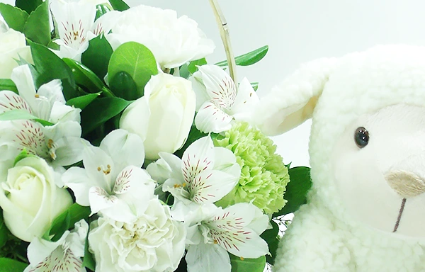 O Encanto das Flores a um clique de você