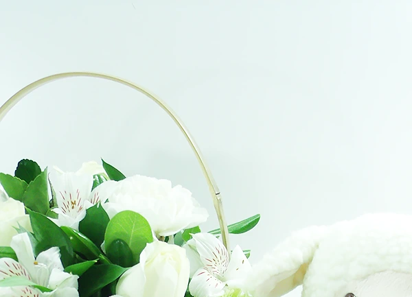 conheça as variedades de flores da Florencanto